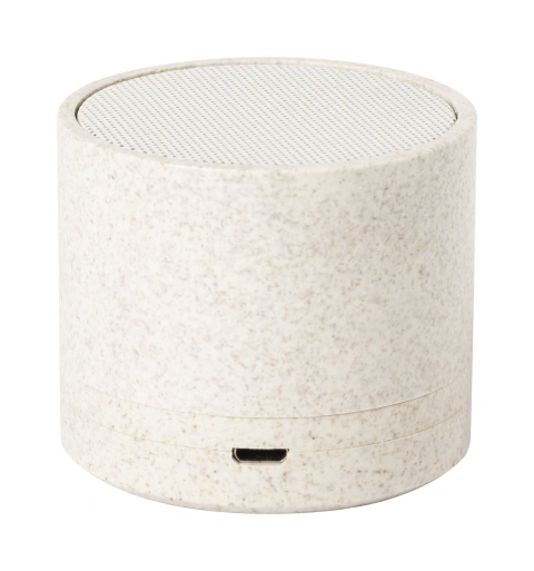 Cayren Boxă bluetooth