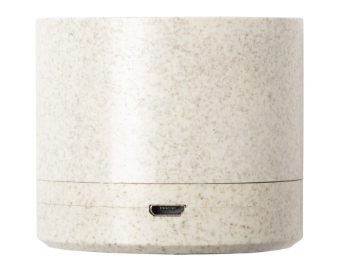 Cayren Boxă bluetooth_1