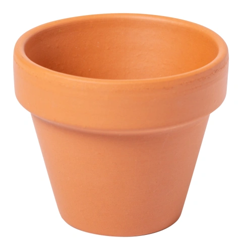 Soltax Ghiveci_1