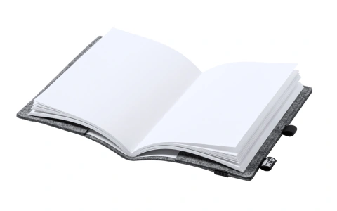 Nibir notebook_2