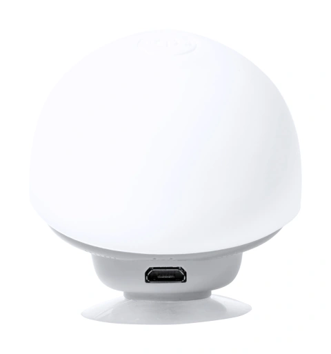 Heston bluetooth speaker_3