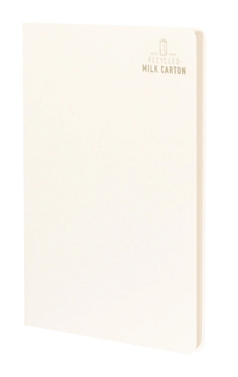 Agnila notebook