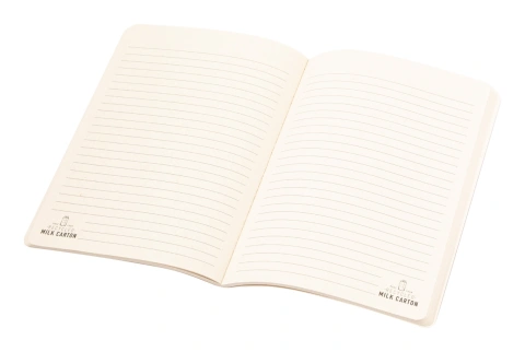 Agnila notebook_1