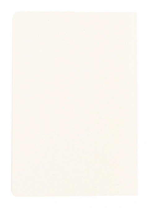 Agnila notebook_3