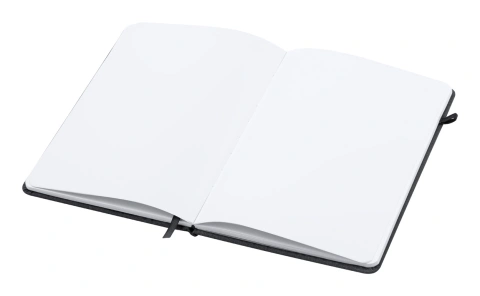 Staiger notebook_1