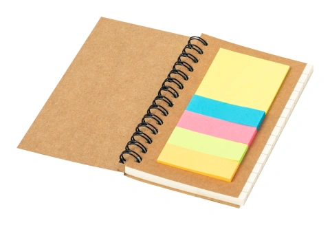 Estein notebook_1