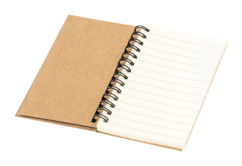 Estein notebook_2