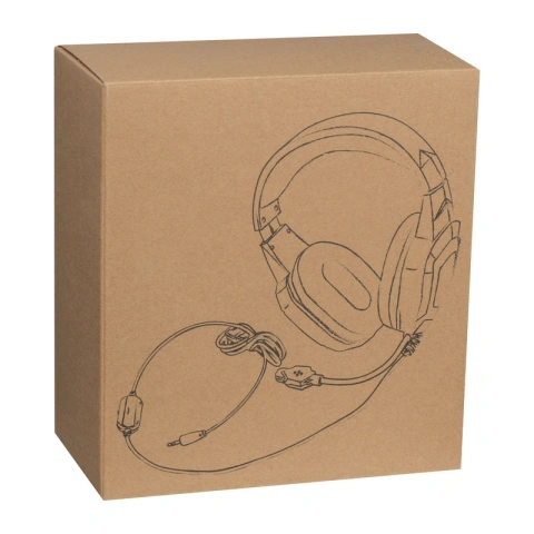 Dunfermline Headset_2