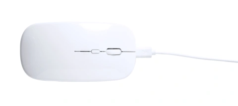 Rabick mouse optic RABS_2