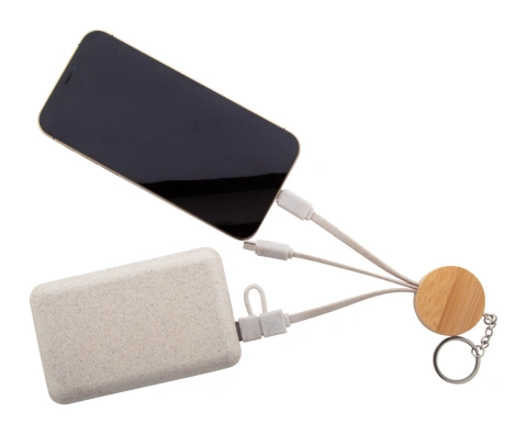 Mugory breloc cablu USB_4