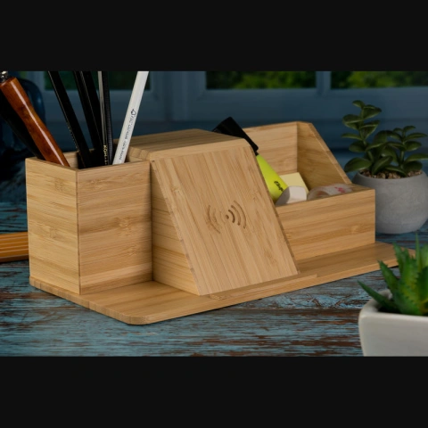 Organizator birou Lubin_8