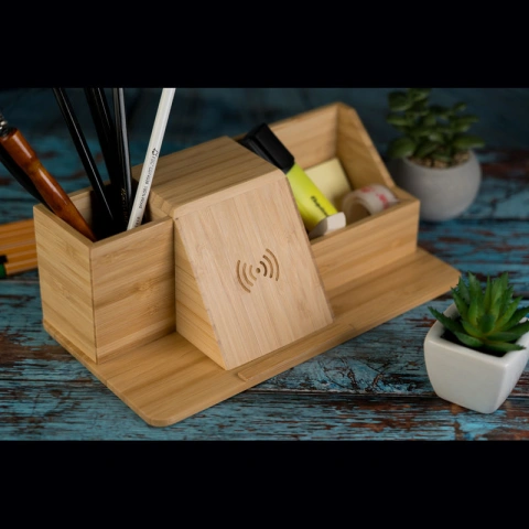 Organizator birou Lubin_9