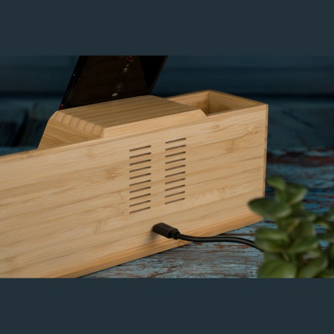 Organizator birou Lubin_12