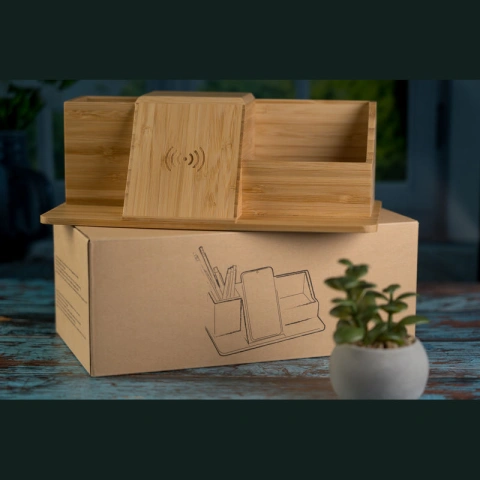 Organizator birou Lubin_13